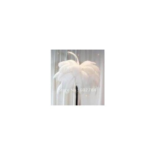 Free shipping 50pcs/ lot 18-20inch 45-50 white ostrich feather wholesale