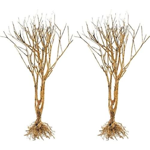 2PCS Fish Tanks Snakes Terrarium Environments Small Aquarium Driftwood Turtles Reptiles Arid Use Underwater Landscaping