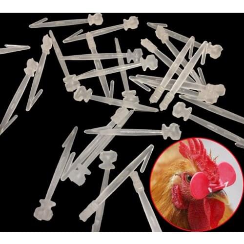 5000 pcs Pheasant goggles Plastic stick Chicken anti-pecking tool Chicken glasses wholesale