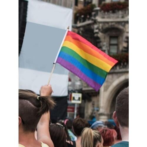 LARGE Pride Rainbow Flag Gay Pride LGBT Queer Love Wins Lesbian 150cm x 90cm90*150cm Rainbow Banner