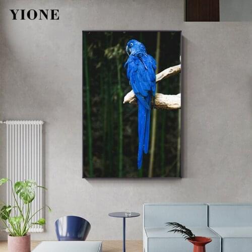 Modern Colorful Parrot Canvas Painting Custom Wild Animal Posters and Prints Wall Art Pictures for Living Room Bedroom Decor