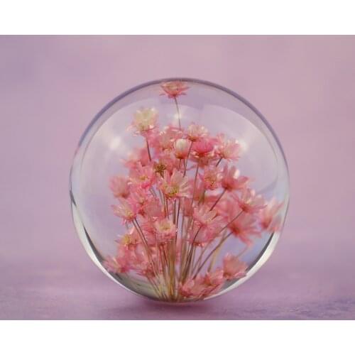 Real Red Daisy Crystal Glass Resin Lens Ball Natural Plants Flowers Specimen Christmas Love Mum Gift With Box Home Decor Globe