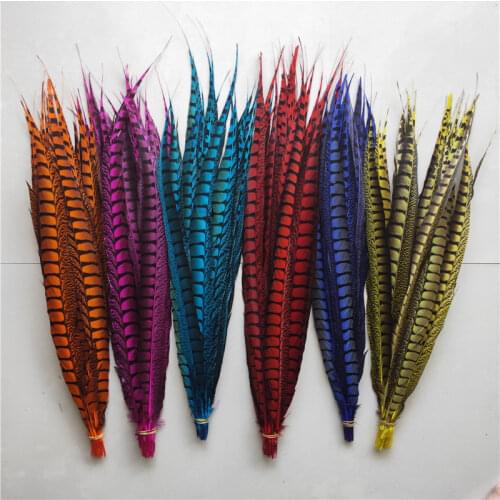 Wholesale 20pcs original natural Lady Amherst Pheasant Feathers 23-28inch/58-70cm Decorative Performance Accessories Carnival