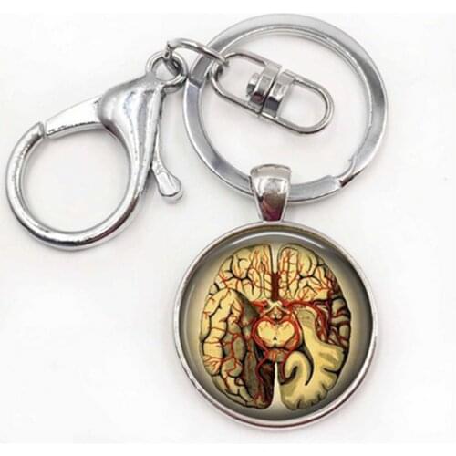 NEW Steampunk Jewelry Anatomical brain Keychain pendant Gothic Keychain science pendant biology medical student gift