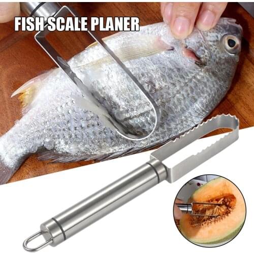 Fish Scaler Brush Stainless Steel Fish Scaler Double Row Fish Scales Remover Scraper with Hanging Hole Kitchen Supply TS2