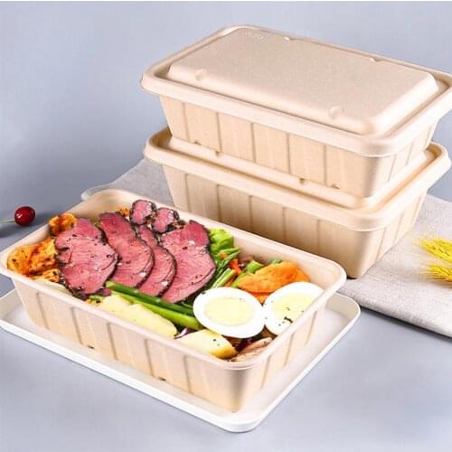 10pcs Disposable Eco-Friendly Bento Box Meal Salad Storage Lunch Box Fruit Hamburger Cake Sushi Food Takeout Packaging Box