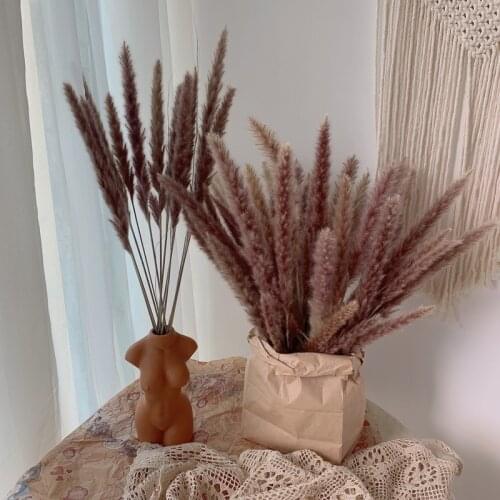 15 Pcs Real Natural Plants Dried Small Pampas Grass Phragmites Communis Decoration Home Store Wedding Fleurs Sechees