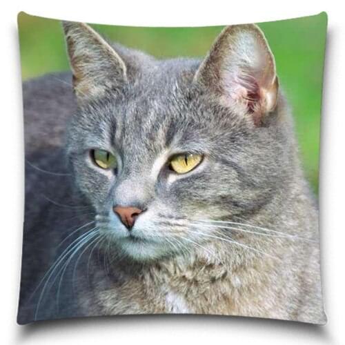 Printed Cat cotton Polyester modern sofa cushion cover throw pillow cover home decoration pillow case 5 size 9 style