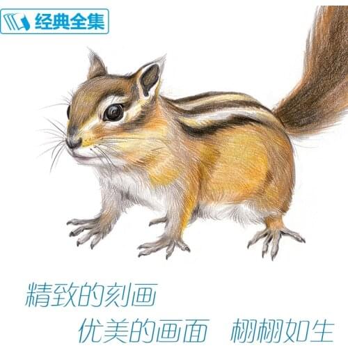 New arrivel Colored pencil Drawing tutorial art book 20 kinds of animals super detailed color lead hand-painted tutorial book