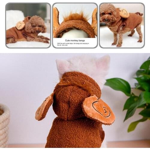 Pet Clothing Easy to Wash Cat Dog Two-legged Warm Jacket Hooded Puppy Clothing Monkey Dress-up Puppy Costume