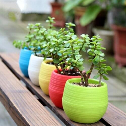 5pcs Colorful Mini Flower Pots Planting Pot Gardening Plastic Pots Plant Flowerpot For Home Office Decoration Garden Supplies