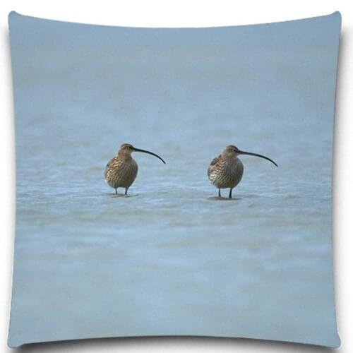 Two birds beak space 2D print creative Pillow case Square cotton polyester cushion cover 5 size 9 style