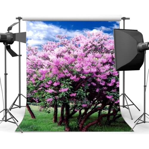 Spring Backdrop Blooming Fresh Flowers Blue Sky White Cloud Green Grass Meadow Nature Romantic Photography Background