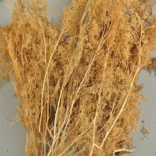 Scene model tree production Natural grass for architecture diy model building design hobby maker