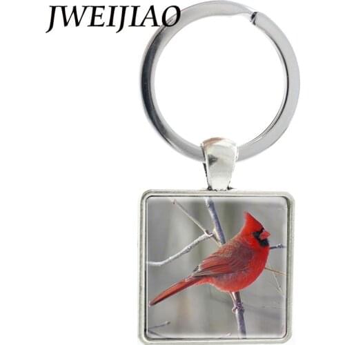 JWEIJIAO American thrushes /Magpies/ Kookaburras/Sparrow Bird Art Picture Keychain Glass Cabochon Metal Key Chain J570
