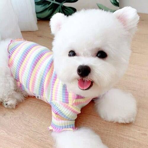 Striped Vest For Dogs T-shirts Schnauzer Spitz Puppy Summer Clothes For Yorkies Rainbow Colorful Dresses Pug Small Dog Costume