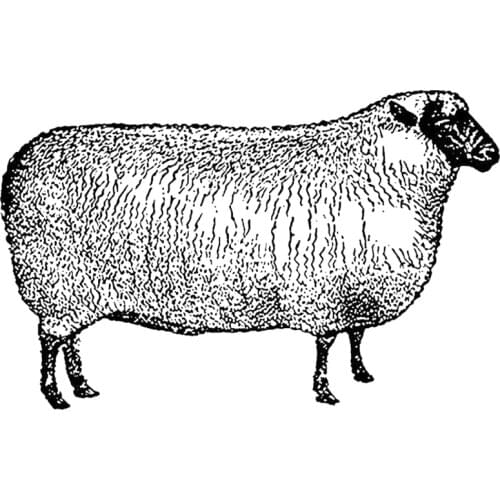 2021 New Retro Animal Sheep Pattern Clear Stamps For DIY Craft Making Greeting Card and Album Scrapbooking No Metal Cutting Dies