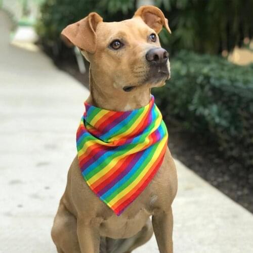 50pcs Rainbow Pet Cat Dog Bandanas for Small Large Dogs Scarves Handkerchief Pride Month Dog Accessories