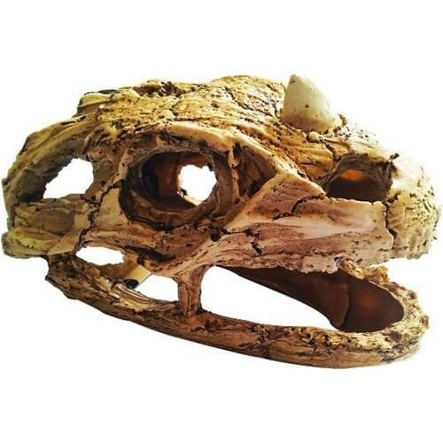 Ti-Hard Dinosaur Head Aquarium Decor (COMPATIBLE)