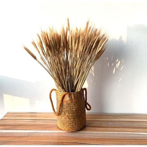 50Pcs/lot Real Wheat Ear Flower include Hand Woven Basket Natural Dried Flowers Wedding Home Decoration Wheat Bouquet