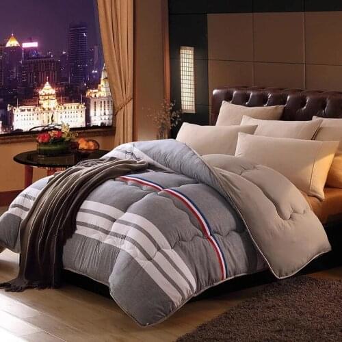 Luxury down comforter core feather blanket quilt inner spring autumn duvets insert hotel/home single/double down quilts