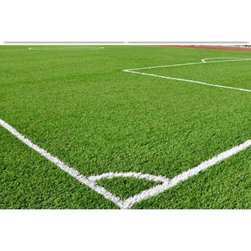 A new year.2cm artificial carpet artificial turf balcony