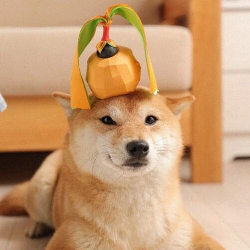 A Dog Chews Toys Fruit Design Interactive Squeaky Dog toys For Pet Chew Bite Tooth Cleaning Toothbrush Feeding Pet Supplies