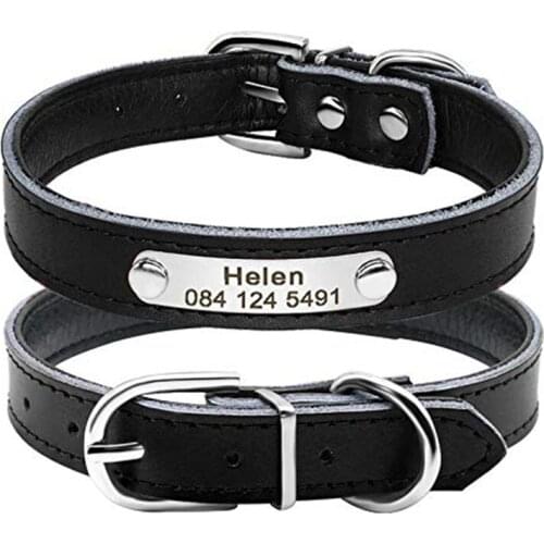 Cute Leather Padded Custom Dog Collar with Engraved Nameplate ID Tag,Fit Cats and Small Medium Dogs