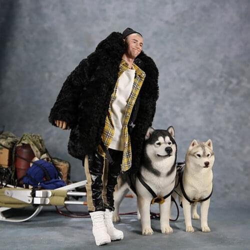 1/6 Scale Mr.Z No 32 Animal Model Imitation Alaskan Malamute Pet Dog For 12' Action Figure Body Scene Accessory parts show toys