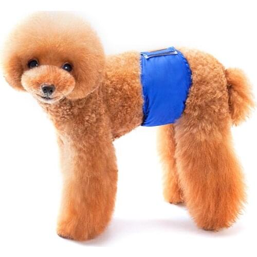 Reusable Washable Dog Shorts Dog Diaper Sanitary Physiological Pants Durable Comfortable Stylish Dog Pants Wraps for Male Dogs