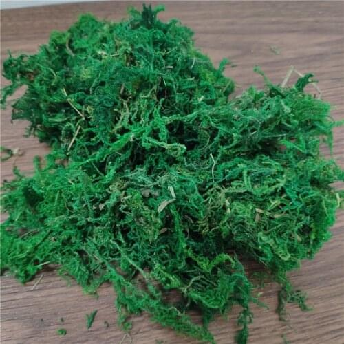 Simulation Moss Dry Green Moss For Garden Decor Plant Potted Plant Decoration Moss Grass Cactus Decoracion Flower Materials 400g