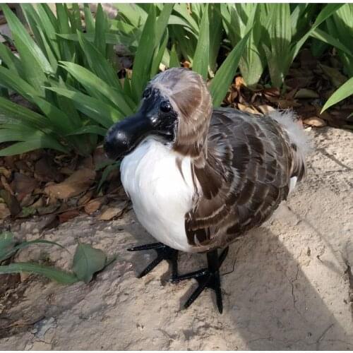 Foam&feathers Raphus cucullatus ,30cm Dodo bird model handicraft home garden decoration gift p0223