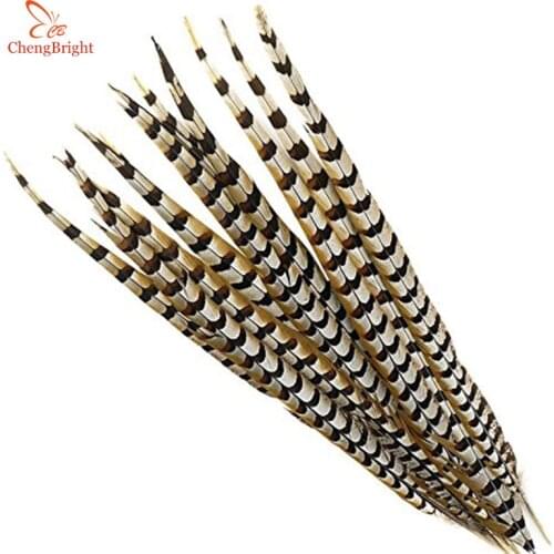 Cheng Bright 10Pcs 30-160CM Natural long Rare Pheasant Tail Feathers TOP High Quality DIY Party Wedding Decorations Halloween