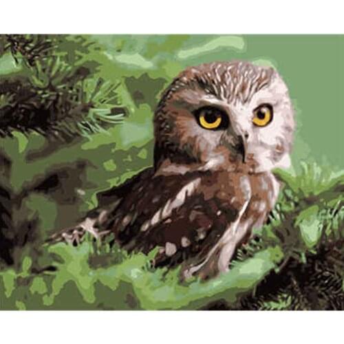 Paint By Number Diy Gift Kit Tekening Op Canvas Olieverf Picture Wall Art Home Decoration 40X50cm Frame Fantasy Cartoon Animal