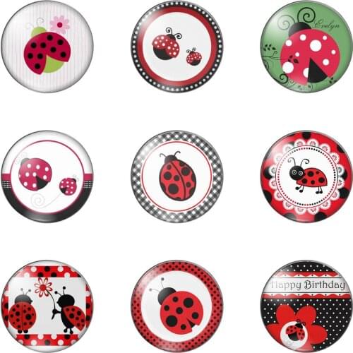 New Cute Animal Cartoon Ladybug Round Photo Glass Cabochon Demo Flat Back Making Findings Handmade DIY Accessories