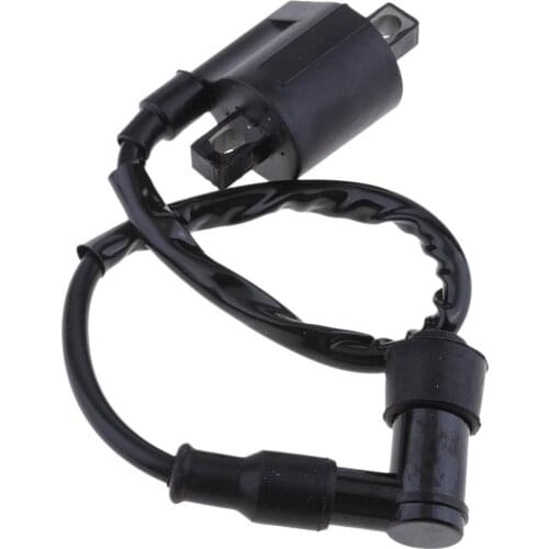 Black Ignition Coil With CDI For Suzuki Quadmaster LT-A50 LTA50 1983-1984