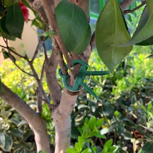 20Pcs/Set Garden Plant Flower Lever Loop Gripper Clips Straighten Support Stems Vine C7B2