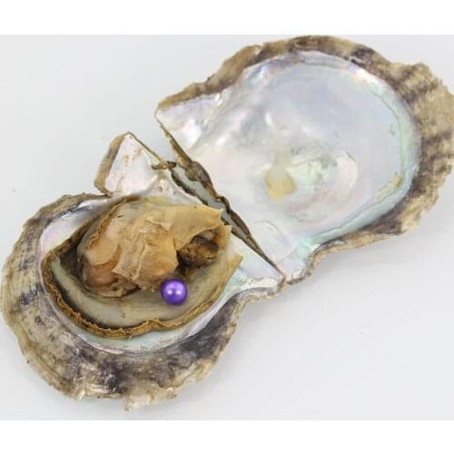 7-8mm Round pearl Royal Blue In Freshwater Oysters Wish Hope Pearl Big Surprise Gift For women party DIY Pearl Jewellery FR022