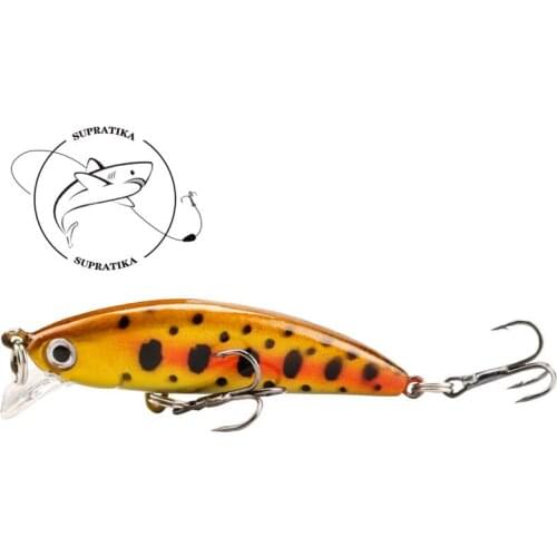 Bionic Minnow Sinking 58mm/4.8g Freshwater Fishing Lure Hard Bait 3D Eyes Anti-Corrosion Profession Plastic Fishing Bait