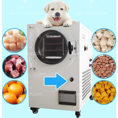 Small Food Freeze Dryer Factory Household Fruit Low Temperature Dryer Equipment