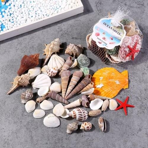 120g Natural Shell Conch Starfish,Fish Tank Landscaping,Fish Tank Decoration,Home Decoration,Diy Material,Photography Props
