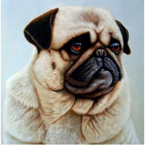 Diamond Embroidery Pet Dog 5D DIY Diamond Painting Cross Stitch Square/round Diamond Sets Decorative Wedding Decoration