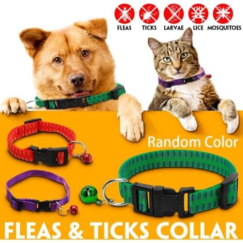 Pet Dog Collar Anti Flea Ticks collar for Cat dog Mosquitoes Outdoor Protective Adjustable Repels Flea collar dog pet products