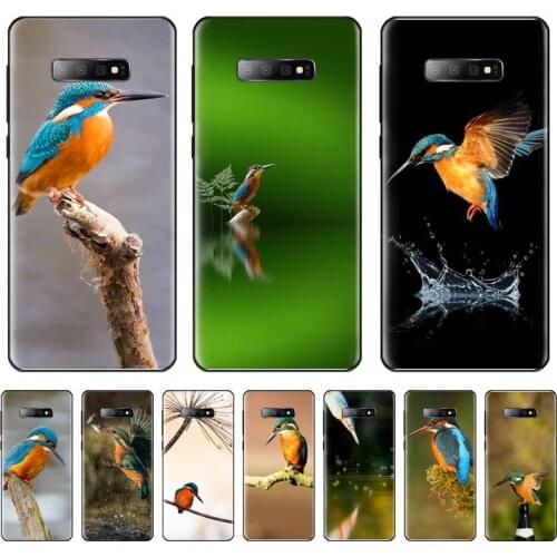 Beautiful Animal Bird Kingfisher Phone Case For Samsung galaxy S 7 8 9 10 20 edge A 6 10 20 30 50 51 70 note 10 plus