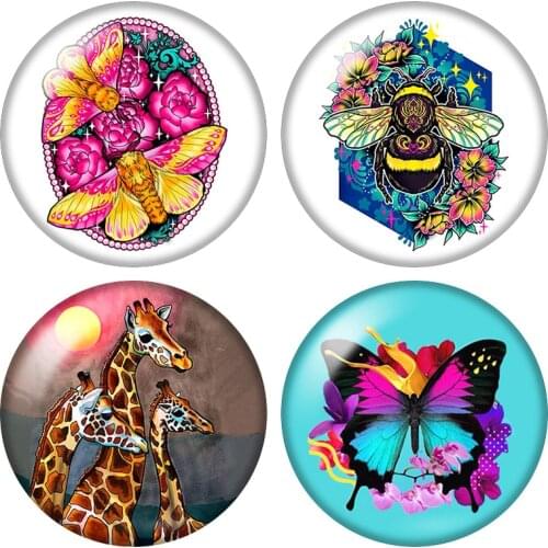 Colorful Butterfly Bee giraffe spider Elephant 12mm/16mm/18mm/25mm Round photo glass cabochon demo flat back Making findings