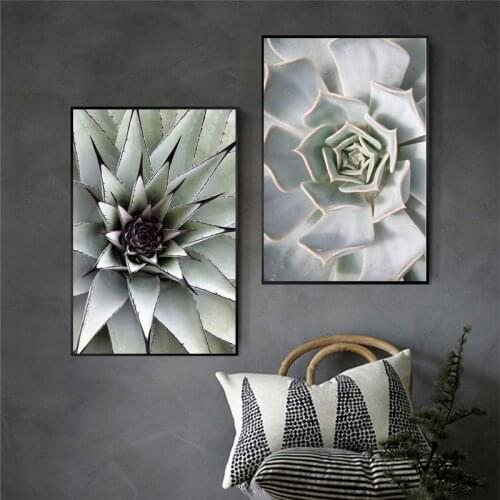 Succulent Plants Mountain Botanical Leaf Wall Art Canvas Painting Nordic Posters And Prints Wall Pictures For Living Room Decor