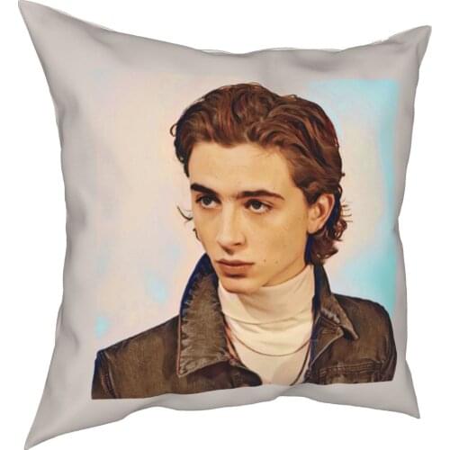 Beautiful Timothee Chalamet cushions Cases Few women Timmy CMBYN Beautiful boy cushions cover Decor cushion cover for Home 45*45