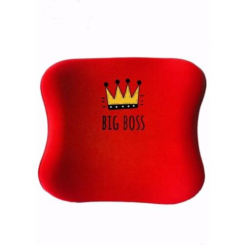 Custog Memory Foam Kids-Young Visco Waist Support Back Pillow For Study Chair Orthopedic Health Care Pad BigBoss