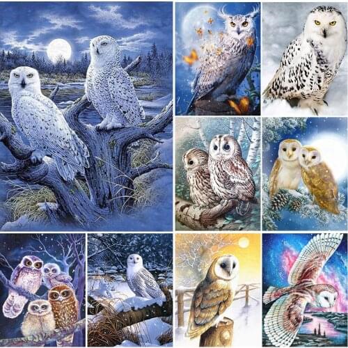 5D DIY Diamond painting Bird Owl Diamond Embroidery Full Cross stitch Rhinestone Mosaic Rhinestones Home Decor Handmade Gifts