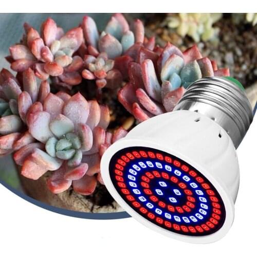 Apluses Plant Lamps